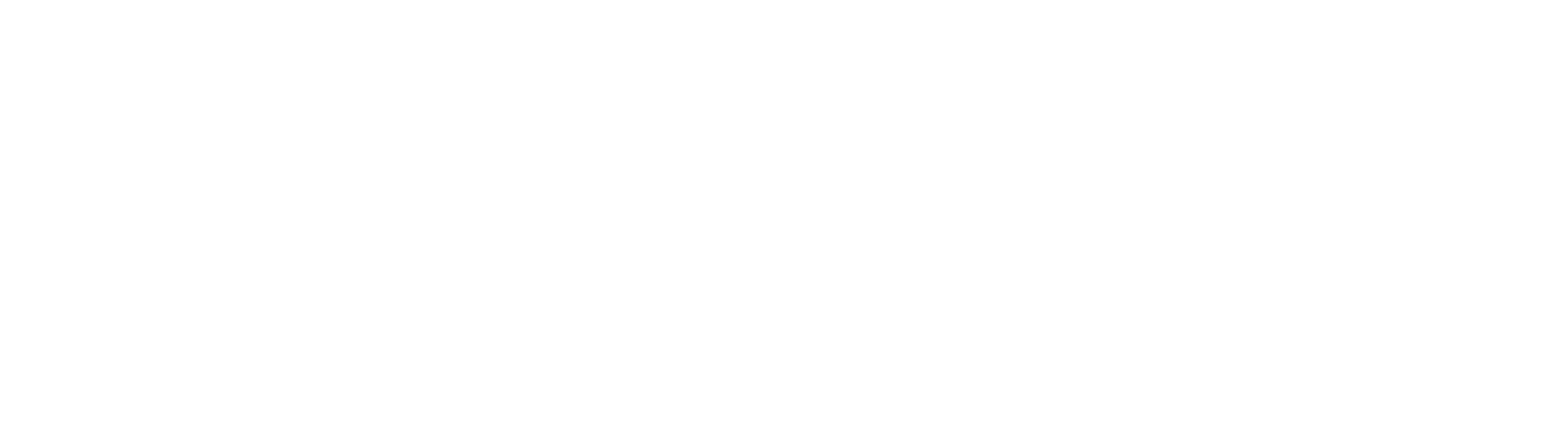 Leadeo